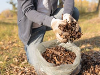 Crews Tree Service Service Mulch