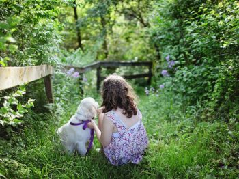 Crews Tree Service Kids Dogs Trees
